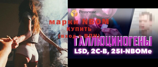 винт Алзамай